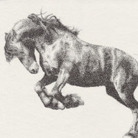 ShinyShireHorse