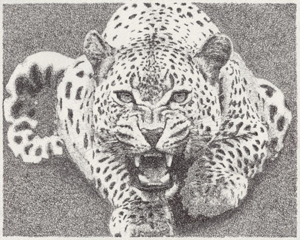 AngryLeopard