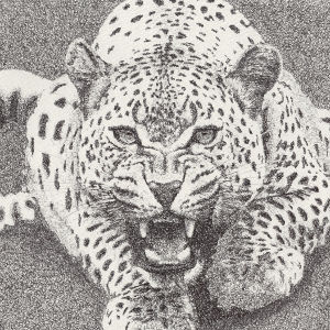 AngryLeopard