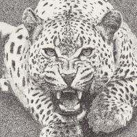 AngryLeopard