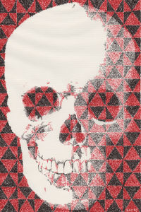 DividedSkull