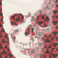DividedSkull